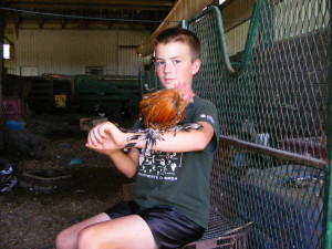michael and chicken